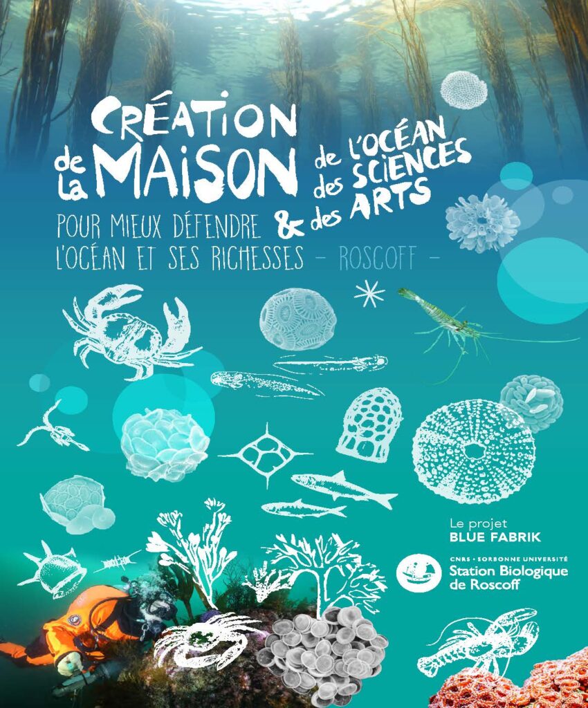 Visuel avec illustration créé pour notre client la Station Biologique de Roscoff